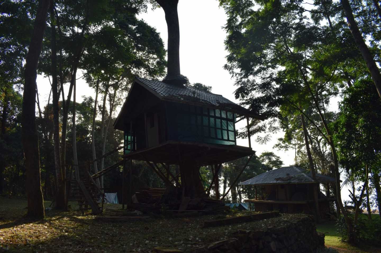 environemntal consultants standing at a site